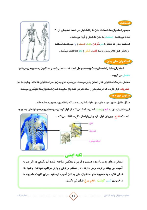 خرید کتاب تابستانه فصل میوه چینی پنجم ابتدایی